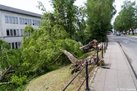 Stanje na terenu (15)